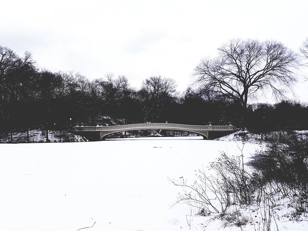 Bow Bridge sobre The Pond congelado. Febrero en Central Park - Foto de Andrea Hoare Madrid