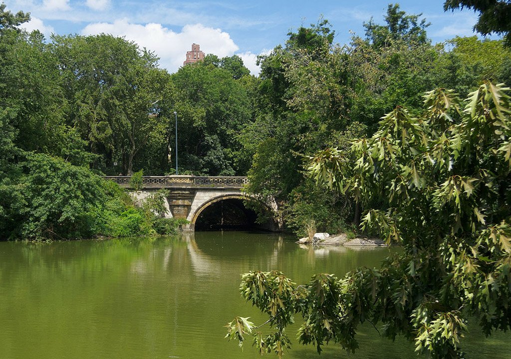 Foto del Balcony Bridge de King of Hearts / CC BY-SA (https://creativecommons.org/licenses/by-sa/3.0) vía Wikimedia disponible en https://commons.wikimedia.org/wiki/File:Central_Park_New_York_August_2012_007.jpg