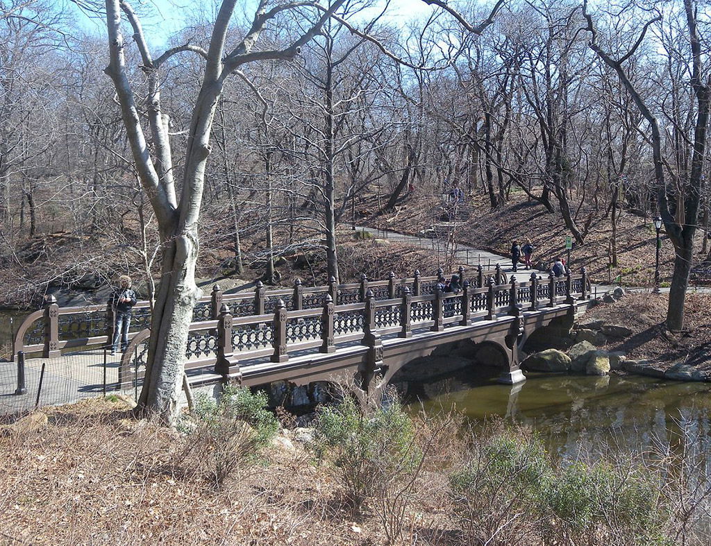Foto del Bank Rock Bridge de Jim.henderson / CC0 - Dominio Público vía Wikimedia disponible en https://commons.wikimedia.org/wiki/File:Oak_Bridge_March_sun_jeh.jpg
