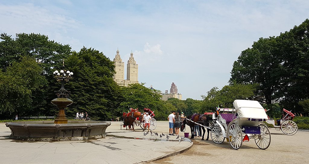 Coches de caballos en Central Park - Foto de AHM