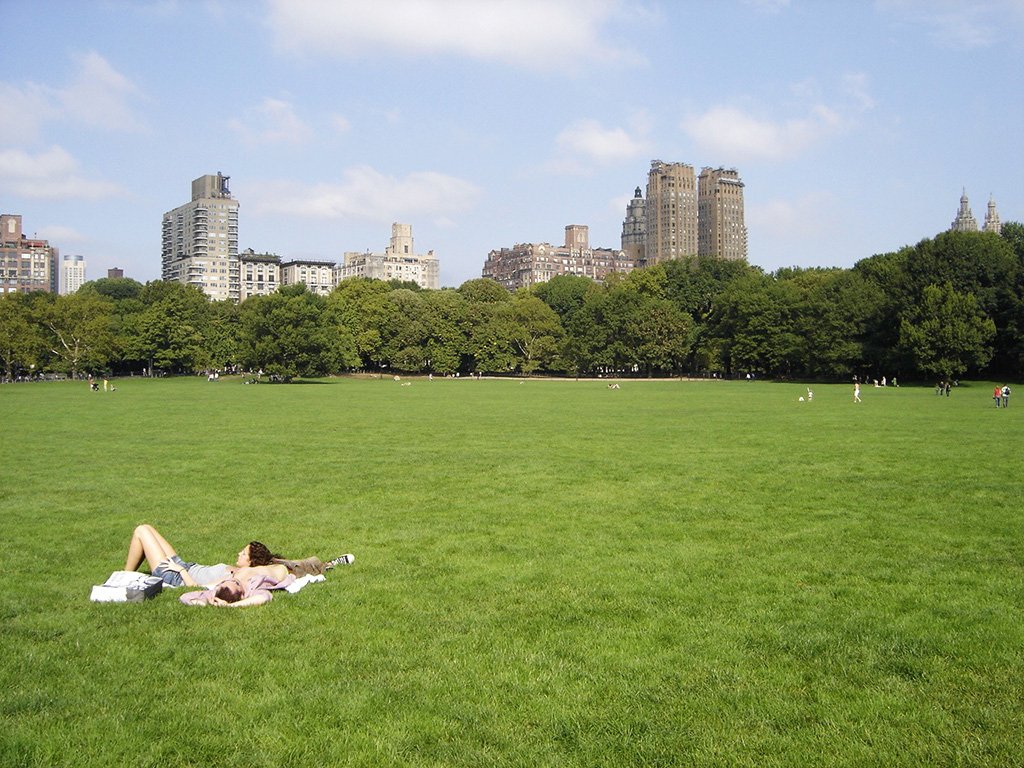 Praderas de Central Park, gente tomando sol en verano - Foto de AHM