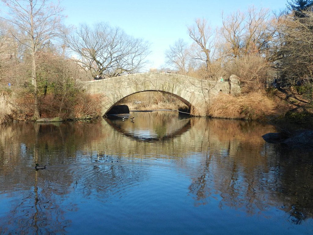 Foto de el Gapstow Bridge en la laguna The Pond de Central Park - Foto de nash78690 de Dominio Público, vía Pixabay disponible en https://pixabay.com/es/photos/naturaleza-central-park-paisaje-5204320/