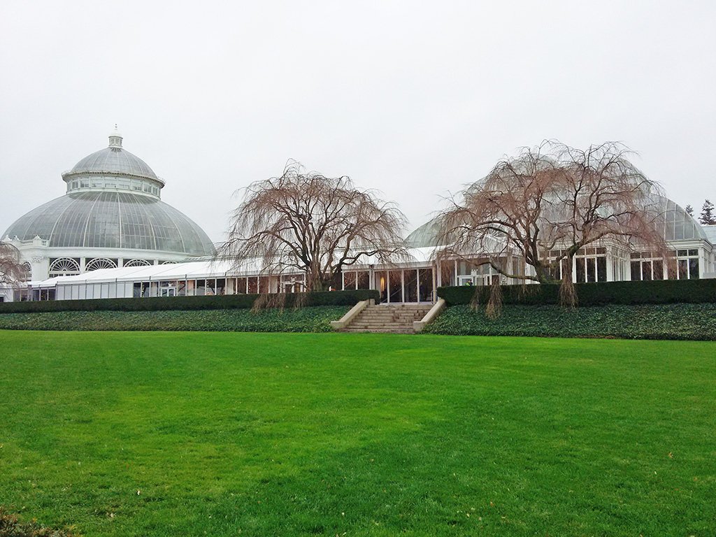 Palacio de Cristal - Invernadero del Jardín Botánico de Nueva York en el Bronx - Foto de Andrea Hoare Madrid