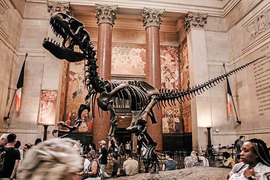 Dinosaurio en el lobby de la entrada del Museo de Historia Natural de Nueva York. Foto de Aditya Vyas on Unsplash disponible en https://unsplash.com/photos/O0t1-SfqvJw