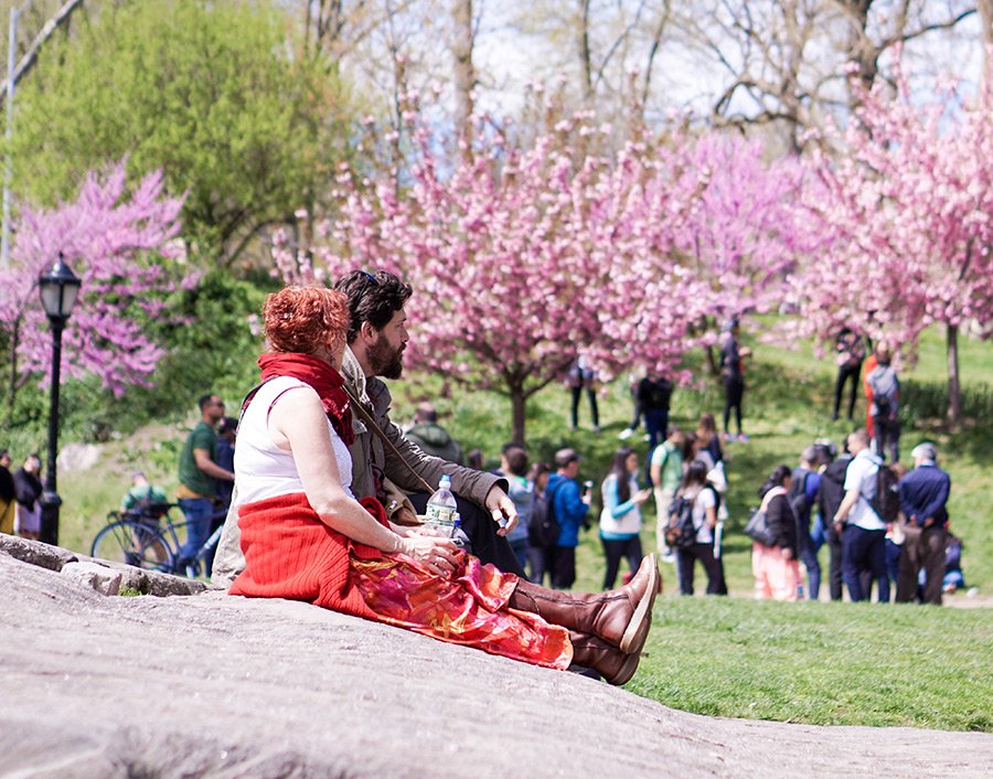 Gente disfrutando el buen clima de la primavera en Nueva York en Central Park - Foto de Erin Song en Unsplash