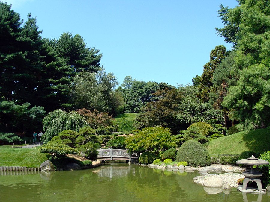 Jardín Japonés en el Jardín Botánico de Brooklyn. Foto de Andrea Hoare Madrid