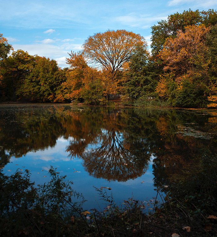Laguna de Prospect Park en otoño - Foto de Pierre Bouyer en Unsplash disponible en https://unsplash.com/photos/EiStW8MCEn8