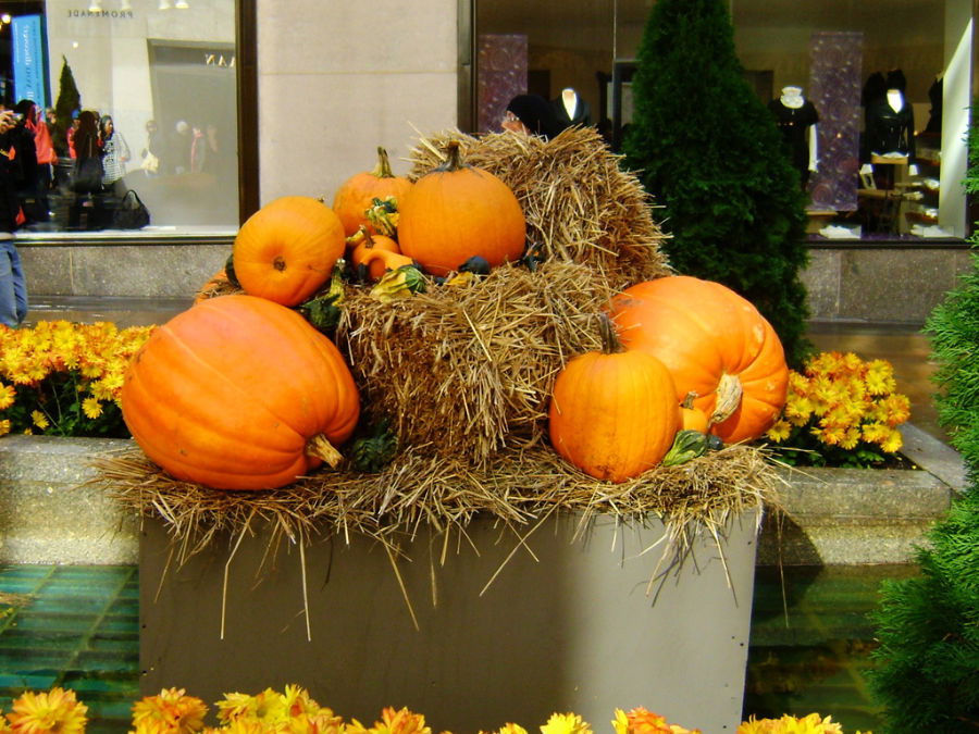Decoración de Halloween (calabazas) en el Rockefeller Center en octubre en Nueva York - Foto de Andrea Hoare Madrid