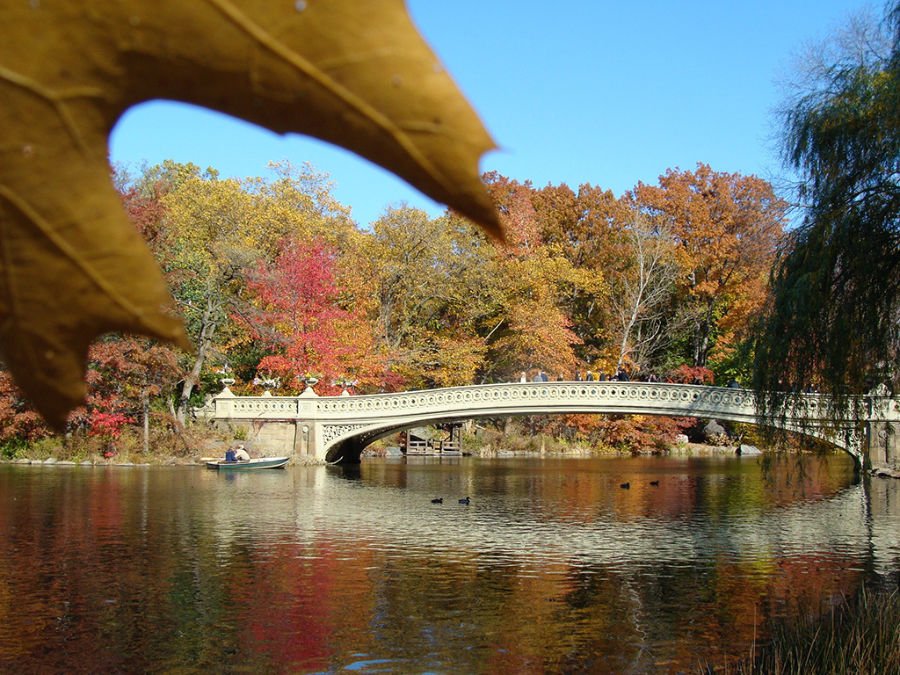 The Pond y Bow Bridge en Central Park en otoño - Foto de Andrea Hoare Madrid
