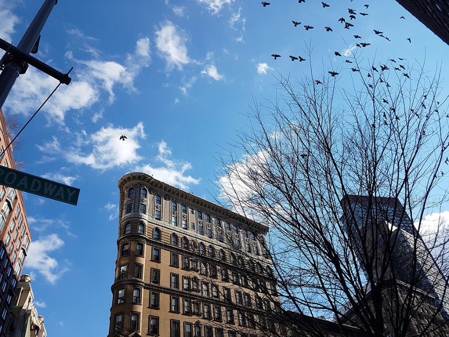 Edificios del Upper West Side, cielo azul y aves volando - Foto de Andrea Hoare Madrid