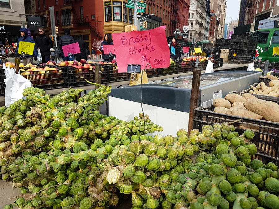 Green Market en Union Square, Midtown Manhattan - Foto de Andrea Hoare Madrid