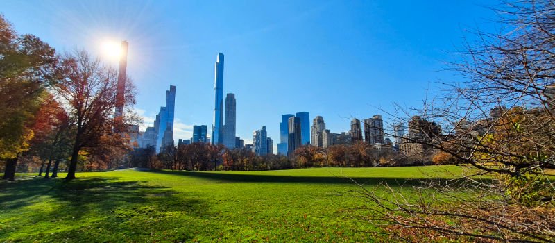 Billionaires' Row visto desde Central Park - Guía de los Rascacielos de Nueva York - Foto de Andrea Hoare Madrid